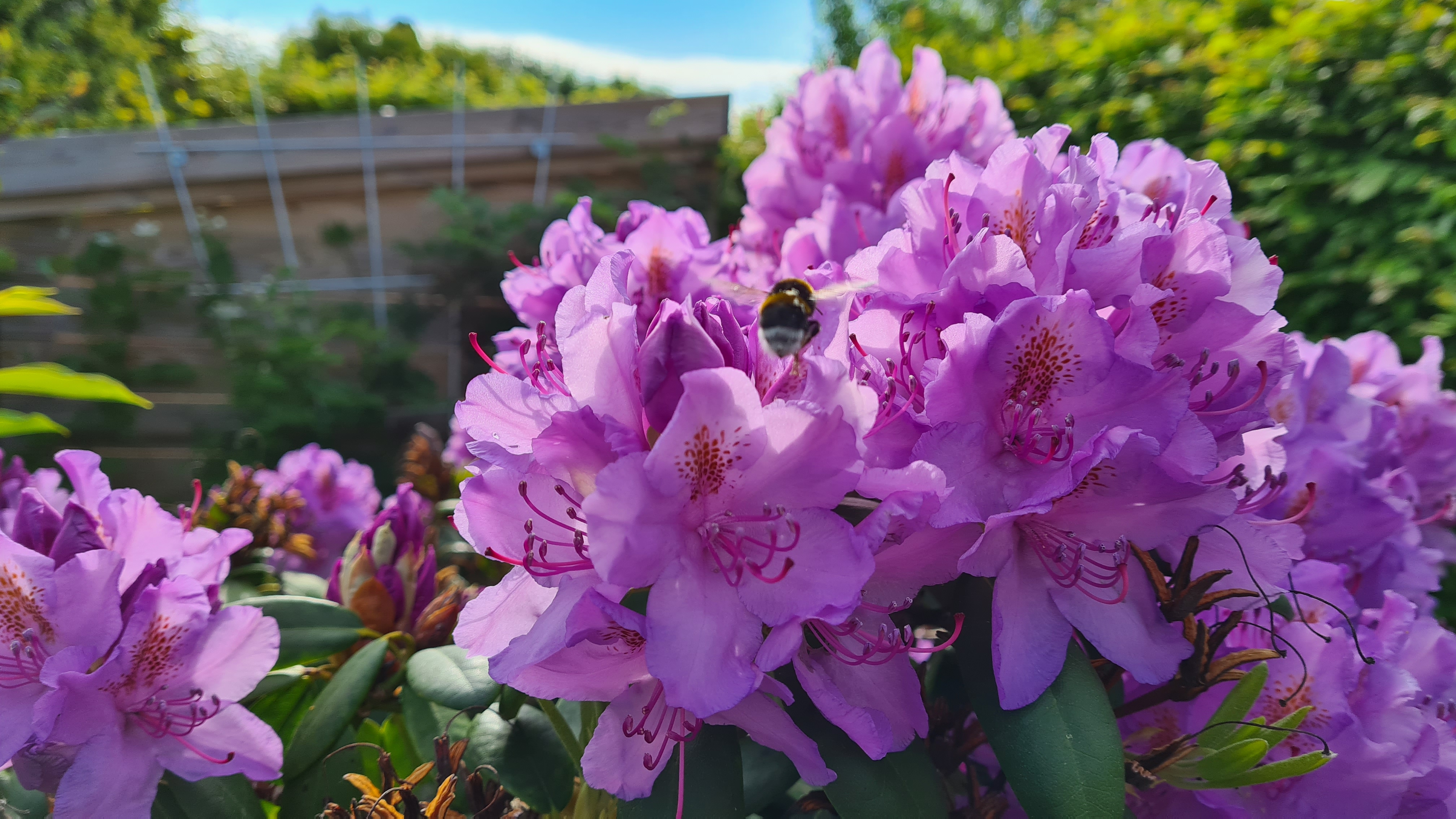 2021-06-06 08.29.11.jpg